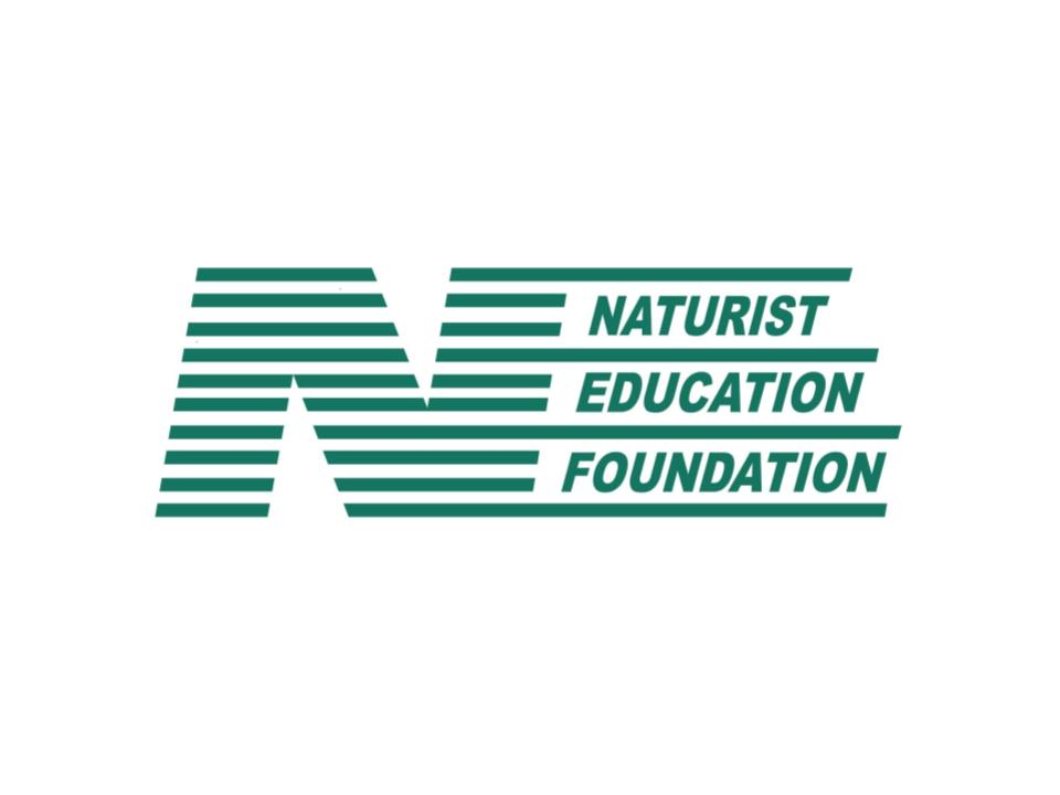 NEF Logo